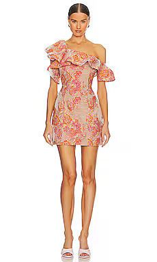 ELLIATT Enchantment Dress in Multi from Revolve.com | Revolve Clothing (Global)
