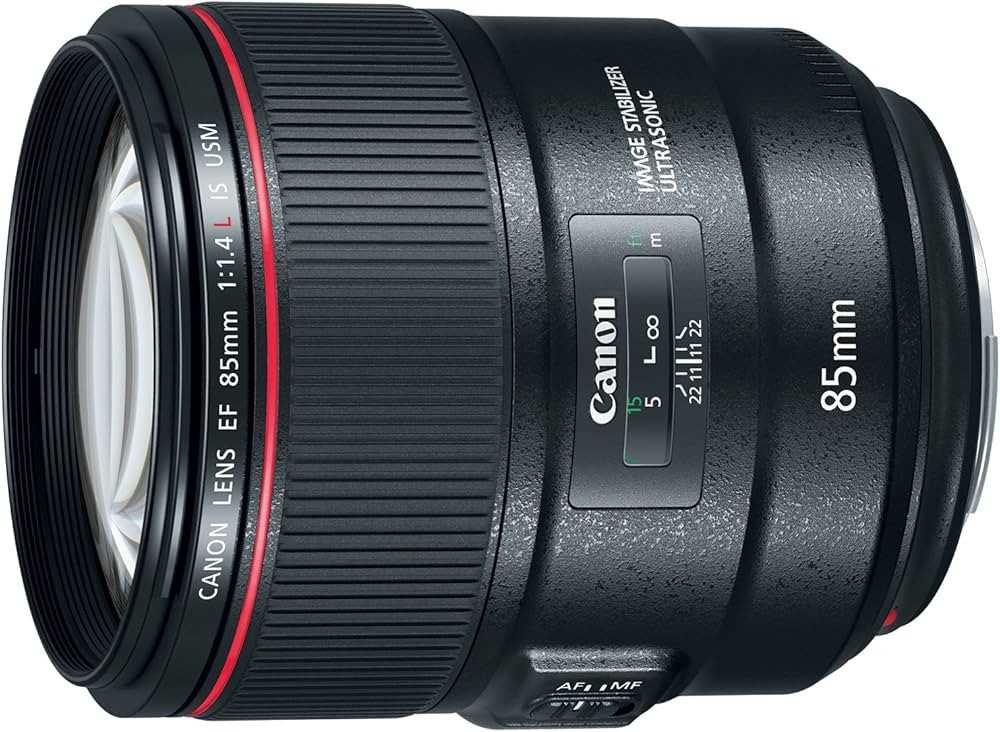 Canon EF 85mm f/1.4L IS USM - DSLR Lens with IS Capability, Black - 2271C002 | Amazon (US)
