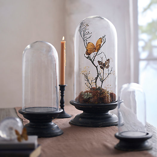 Glass Cloche with Distressed Wood Pedestal Base | Terrain