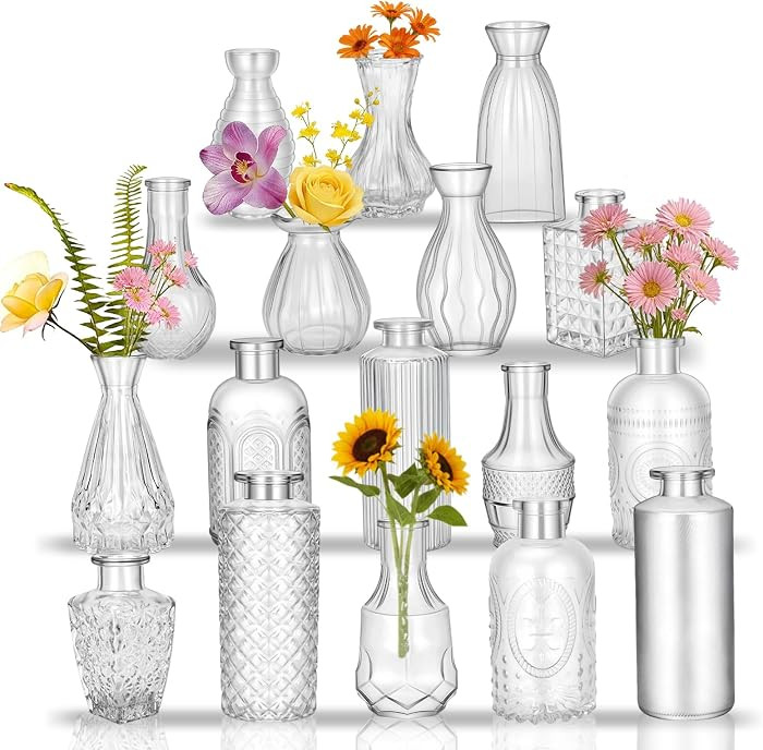 Glass Bud Vases in Bulk Small Mini Clear Vase for Flowers 17pc | Amazon (US)
