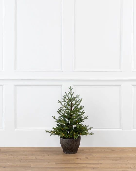 Norway Potted 3' Pre-Lit Faux Tree | McGee & Co.