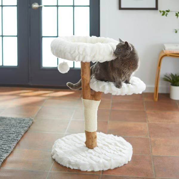 Frisco Natural Wood Modern Cat Tree with Toy, Ivory, Medium | Chewy.com