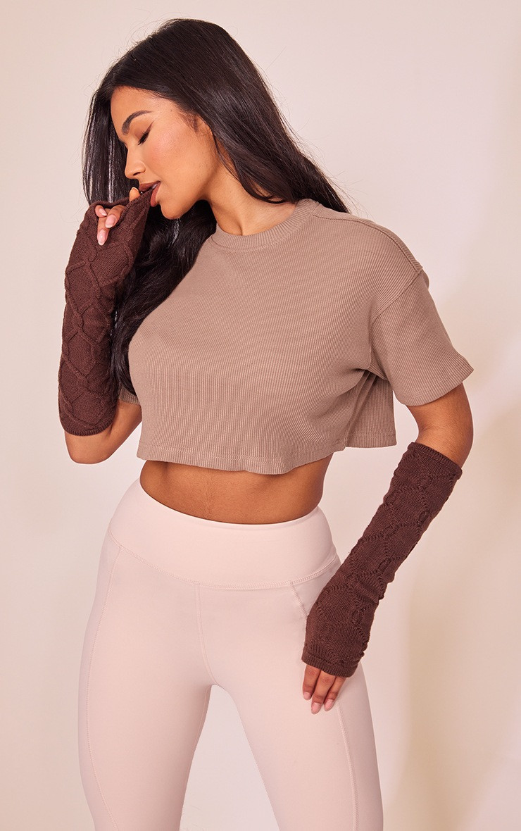 Taupe Rib Cropped Boxy T Shirt | PrettyLittleThing US