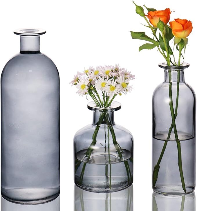 Glass Bud Vase Set of 3, Small Vases for Flowers, Decorative Single Bud Vases in Bulk, Mini Home ... | Amazon (US)