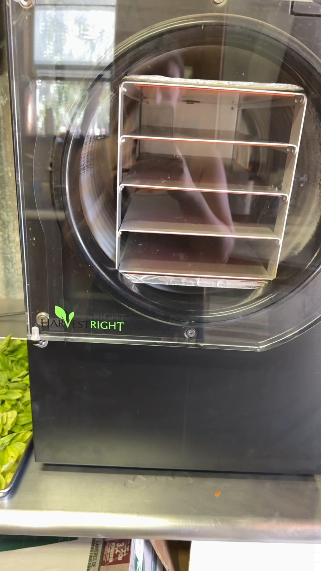 Harvesting Today!! Using the Harvest Right Freeze Dryer 

#LTKHome #LTKSeasonal #LTKFamily