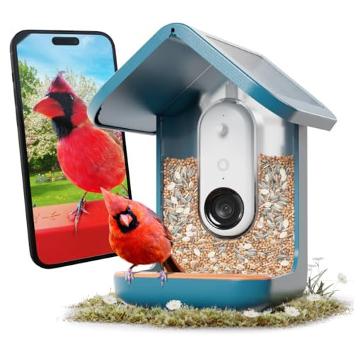 Birdbuddy PRO Solar Smart Bird Feeder with Camera - AI Bird Species Identification, 5MP Photos, 2K HD Video Live Stream Camera, Slow-Motion Video, 2.6in Focus - Blue Solar | Amazon (US)