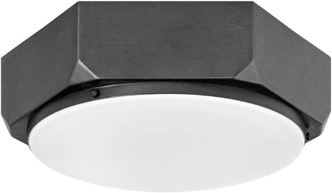 Hinkley Hex Collection Three Light Medium Flush Mount, Brushed Graphite w/Etched Opal Glass | Amazon (US)