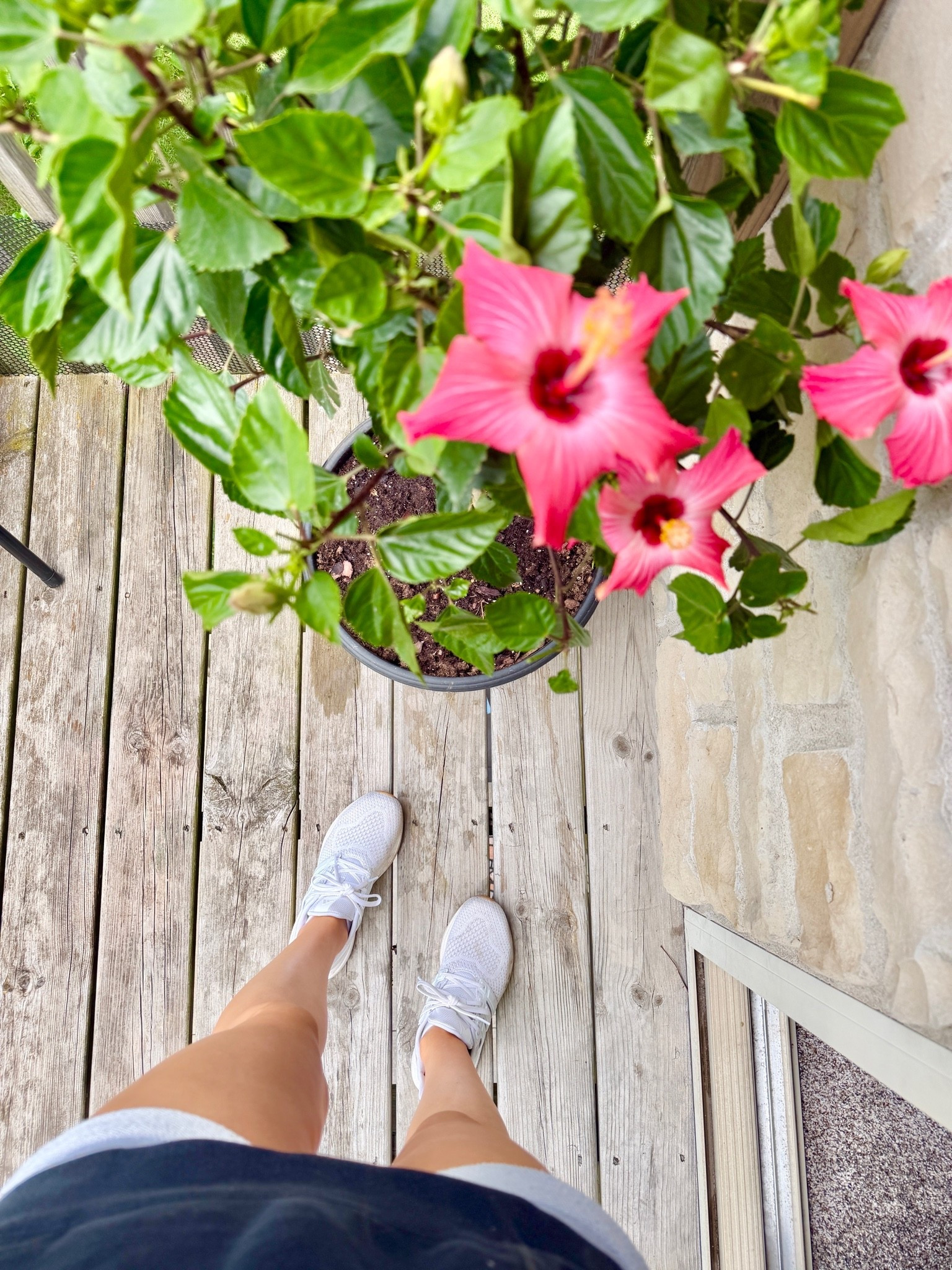 Women’s White Adidas Athletic Sneakers from @Kohl's 

~ women’s shoes, women’s outfit ideas, summer outfit, white sneakers, trendy shoes, athletic shoes, workout clothes, outfit of the day

#LTKootd #LTKActive
