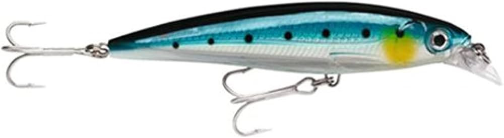 Rapala X-Rap Saltwater Fishing Lure | Amazon (US)