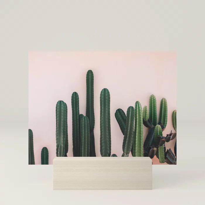 Cabo San Lucas Mini Art Print | Society6