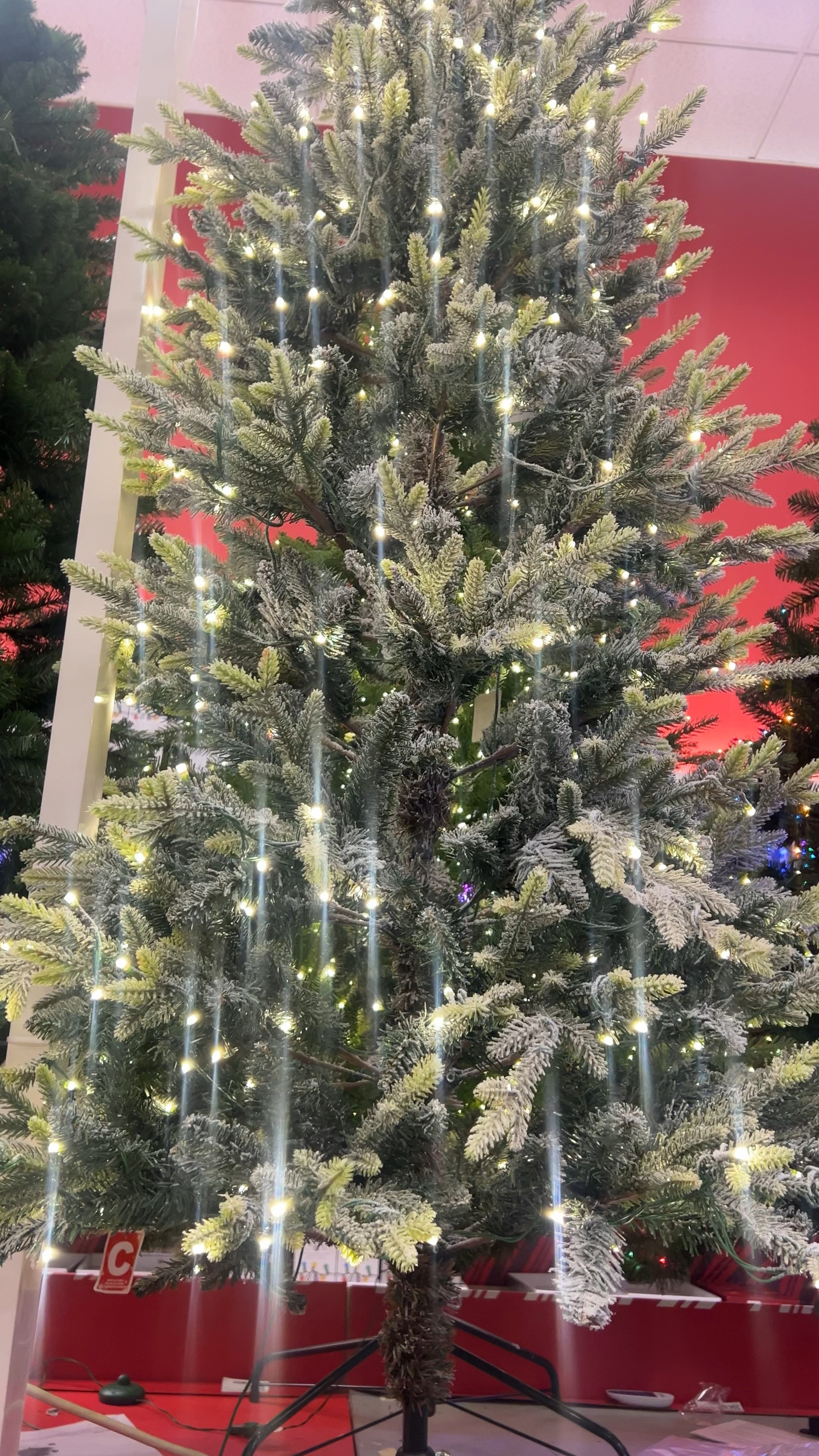 Last day 50% off Christmas trees 

#LTKWatchNow #LTKSaleAlert #LTKHoliday