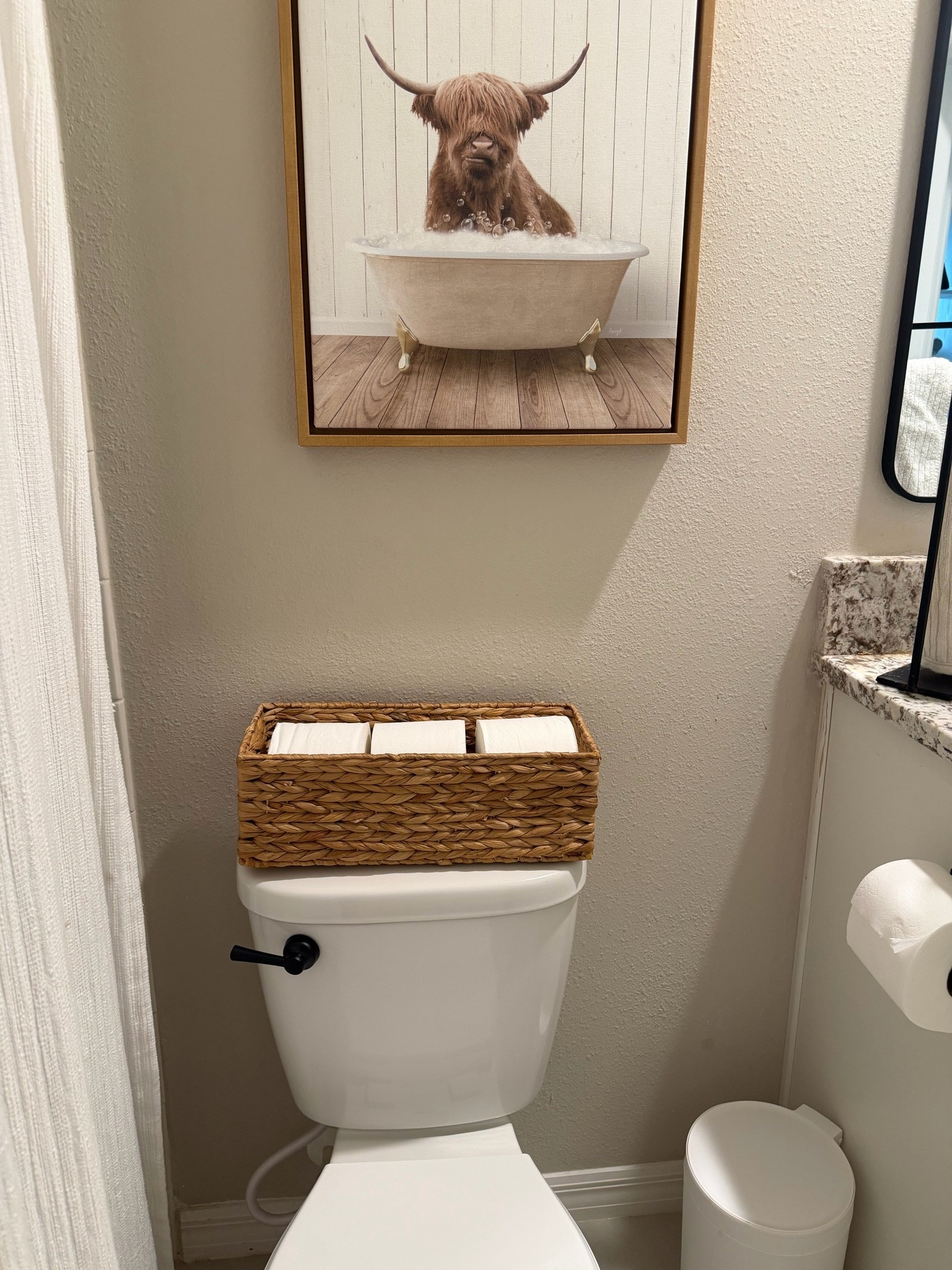 New matte black toliet lever - quick to install.