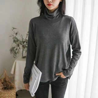 Turtleneck Brushed-Fleece Lined Top | YesStyle Global