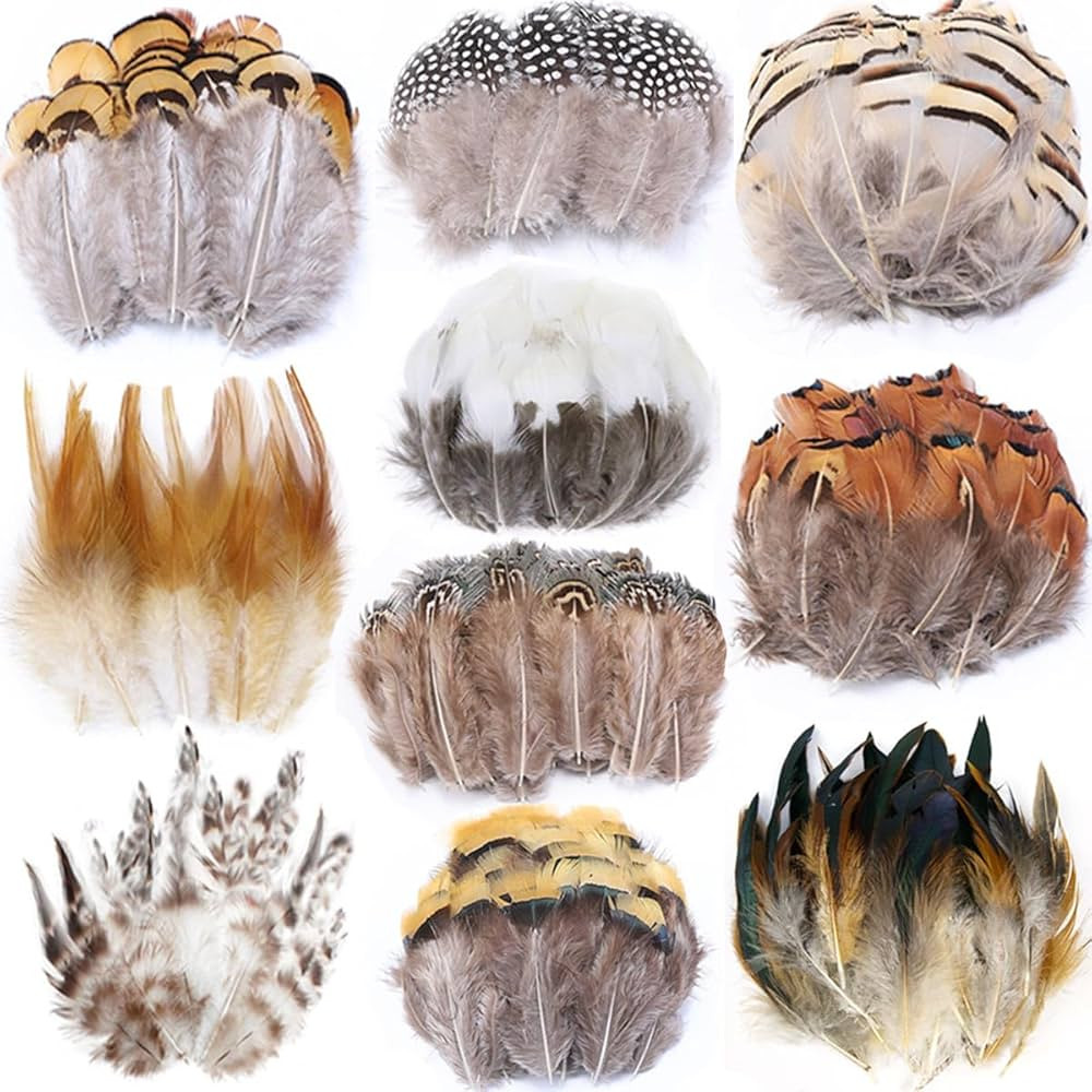 200pcs 10 Style Natural Feathers Assorted Mixed Feathers for Dream Catcher Crafts Decoration (10 ... | Amazon (US)