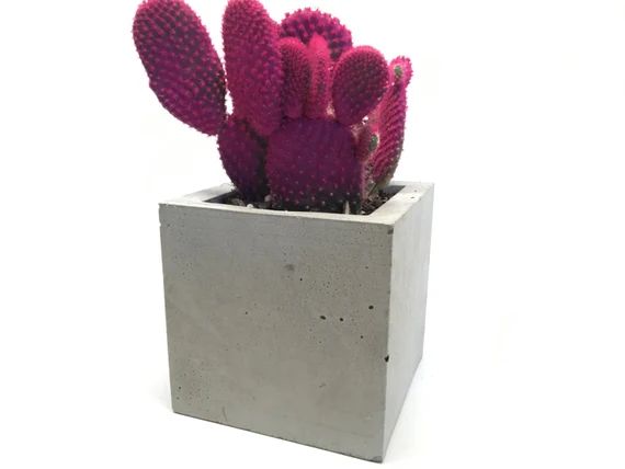 4" Concrete Cube Planter  - Candleholder -  Office and Bathroom Storage | Etsy (US)