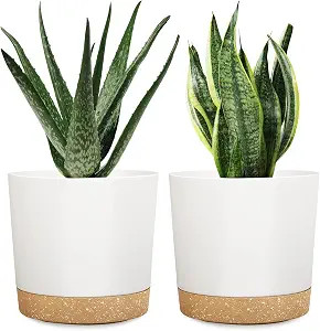 DEMACIYA 8 Inch Plant Pots, 2Pack Planters for Indoor Plants with Drainage Holes and Removable Ba... | Amazon (US)