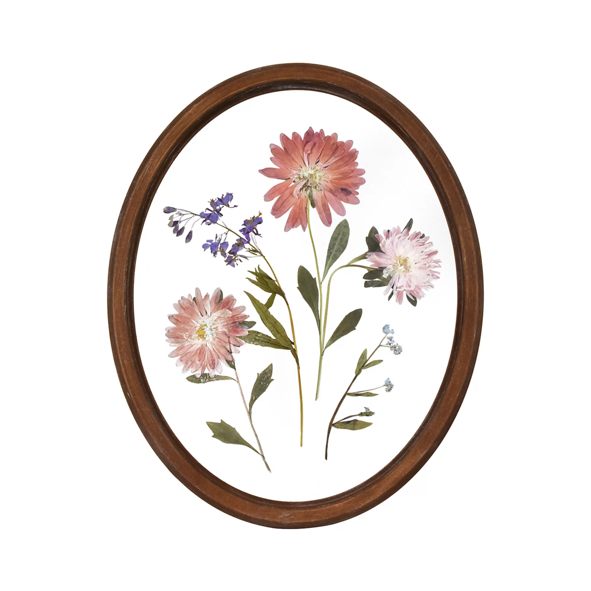 Oval Pressed Flowers Framed Wall Decor | Kohl's