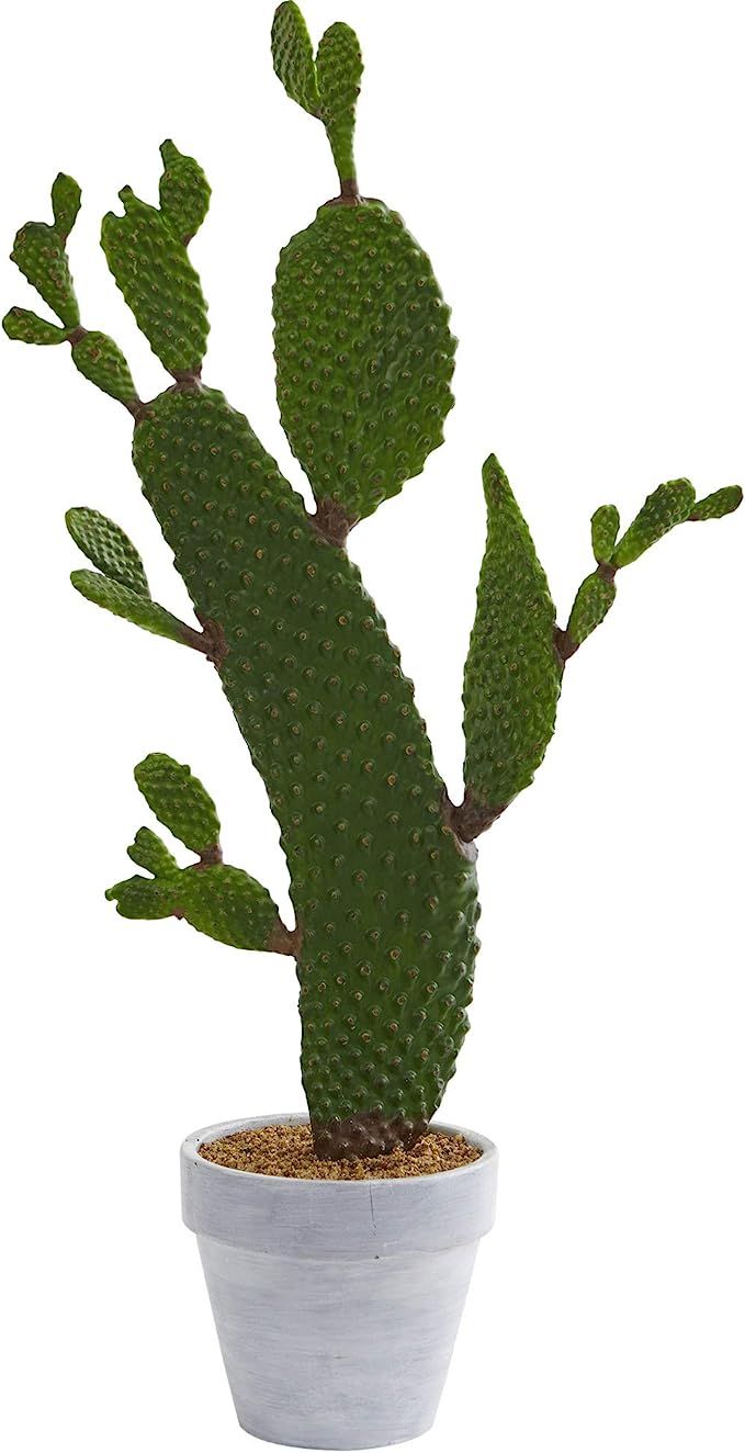 Nearly Natural 27-in. Cactus Artificial Silk Plants Green | Amazon (US)