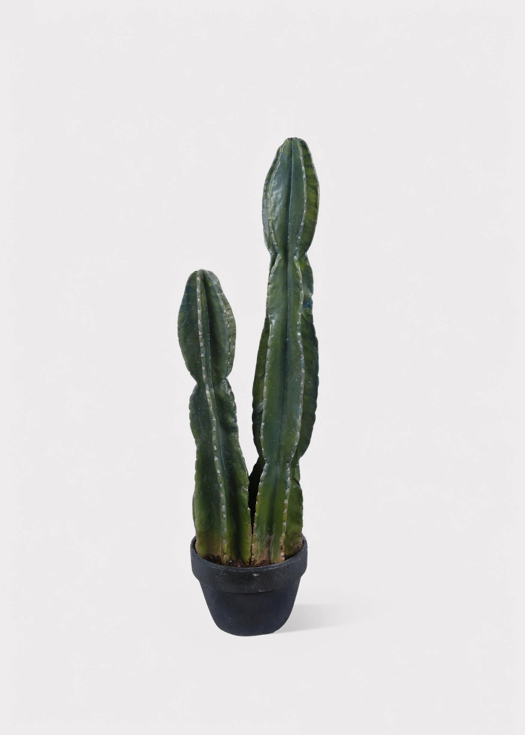Fake Potted Cactus Plant - 33.75 | Afloral