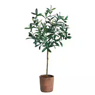 2.5ft. Olive Tree in Brown Planter | Michaels Stores