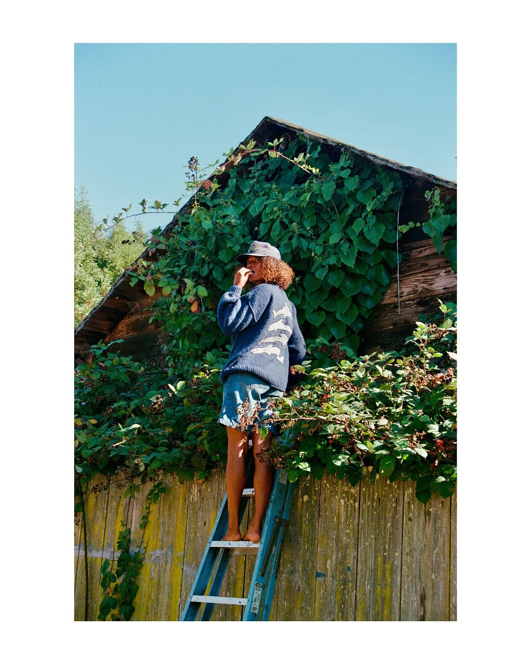 ON SET BTS [minga 01] • Santa Cruz

35mm film shot and edited by @camytotah 
and developed by @photoworkssf 

Creative Direction @bodolphin 
Styling @rathmaster 
Model @jahlala 

#fashionphotography #photographer #contentcreator #fashion #stylinginspo #fallfashion #santacruz #sustainable #ethicallymade