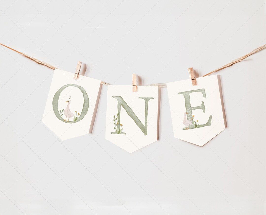 Goose Birthday, First Birthday High Chair Banner, ONE DC302 - Etsy | Etsy (US)