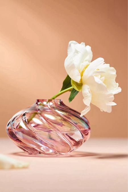 It’s on sale! The Corinne Twisted Glass Vase. Fresh, soft, and exquisitely round, this captivating piece enchants with its delicate charm. Perfect for showcasing your favorite blooms or adding a touch of elegance to any bookcase, this soda glass vase is a versatile addition to your home decor. Designed for both outdoor and indoor use, it seamlessly blends beauty and functionality. Elevate your space with a touch of ethereal grace.

#LTKHome #LTKSaleAlert #LTKSummerSales