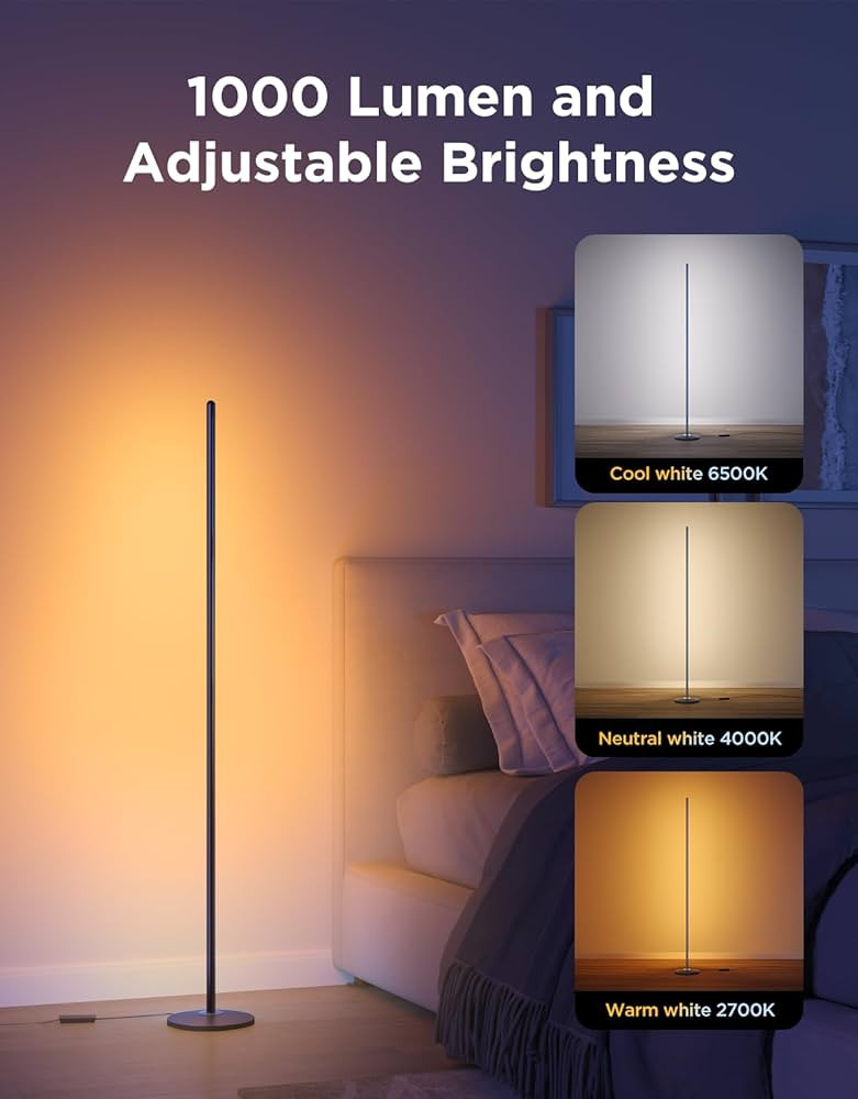 Govee RGBIC Floor Lamp Basic, LED Corner Lamp Works with Alexa, 1000 Lumen Smart Modern Floor Lam... | Amazon (US)