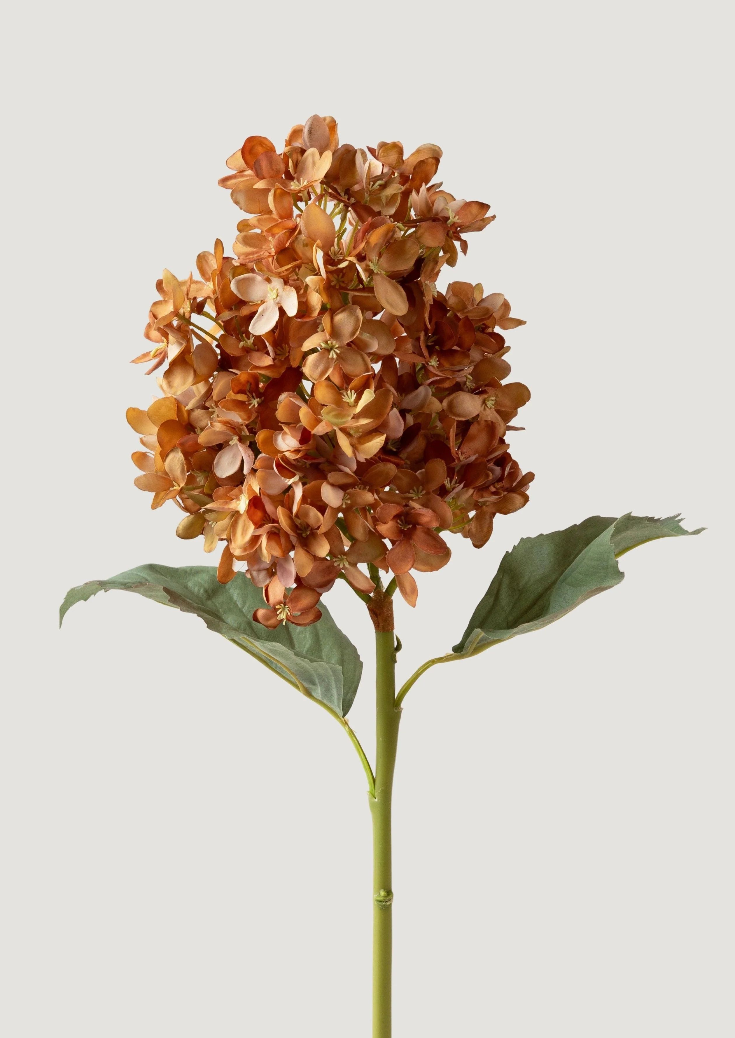 Faux Cone Hydrangea in Earthy Brown Hues - 23" | Afloral