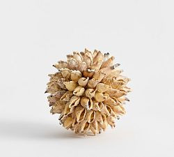 Decorative Shell Ball | Pottery Barn (US)