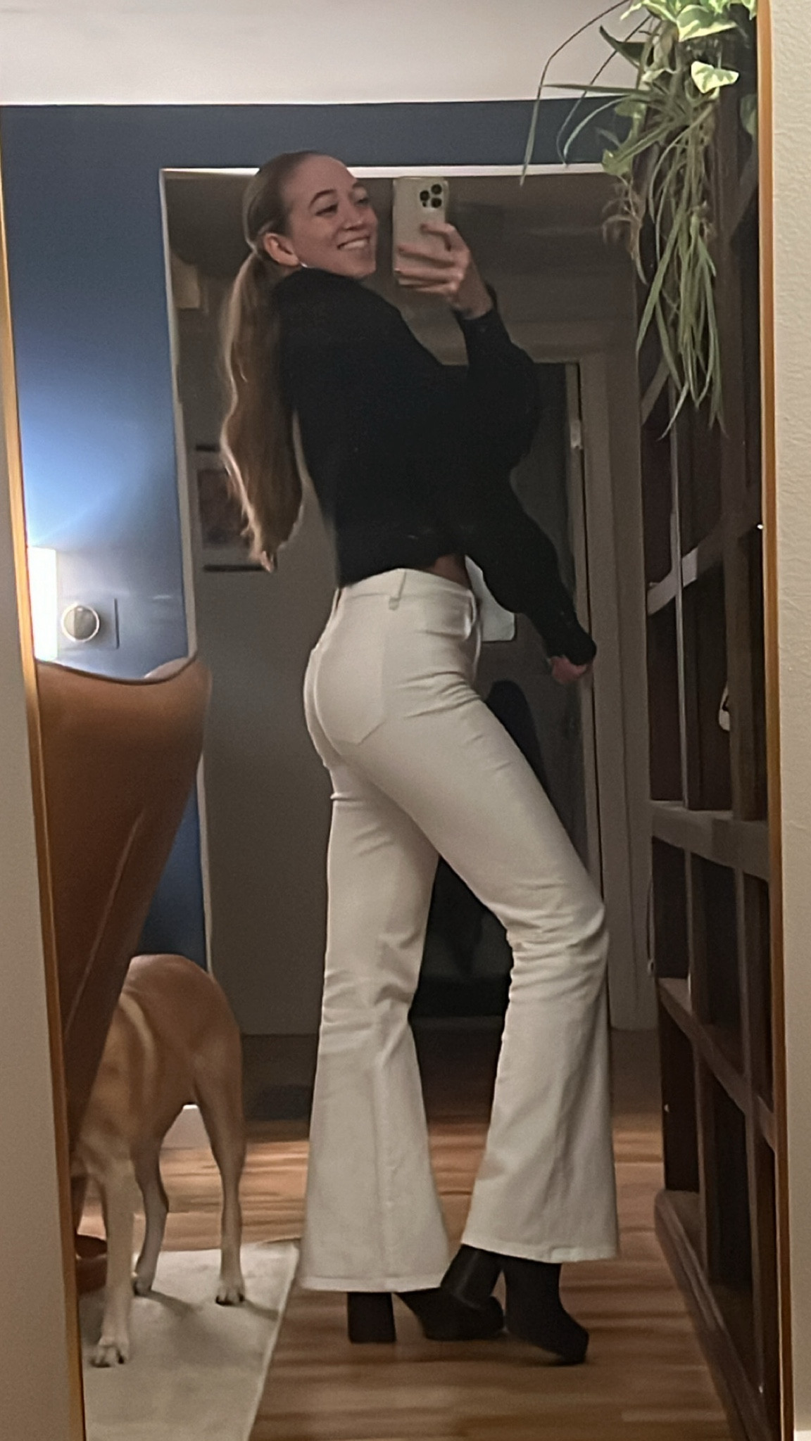 I love an all black and white outfit ❤️ these white jeans go with everything, are super flattering jeans and are the perfect summer jeans! 

White flare jeans, flare jeans, tall jeans, long jeans, joes jeans 

#LTKstyletip #LTKSeasonal #LTKfindsunder100