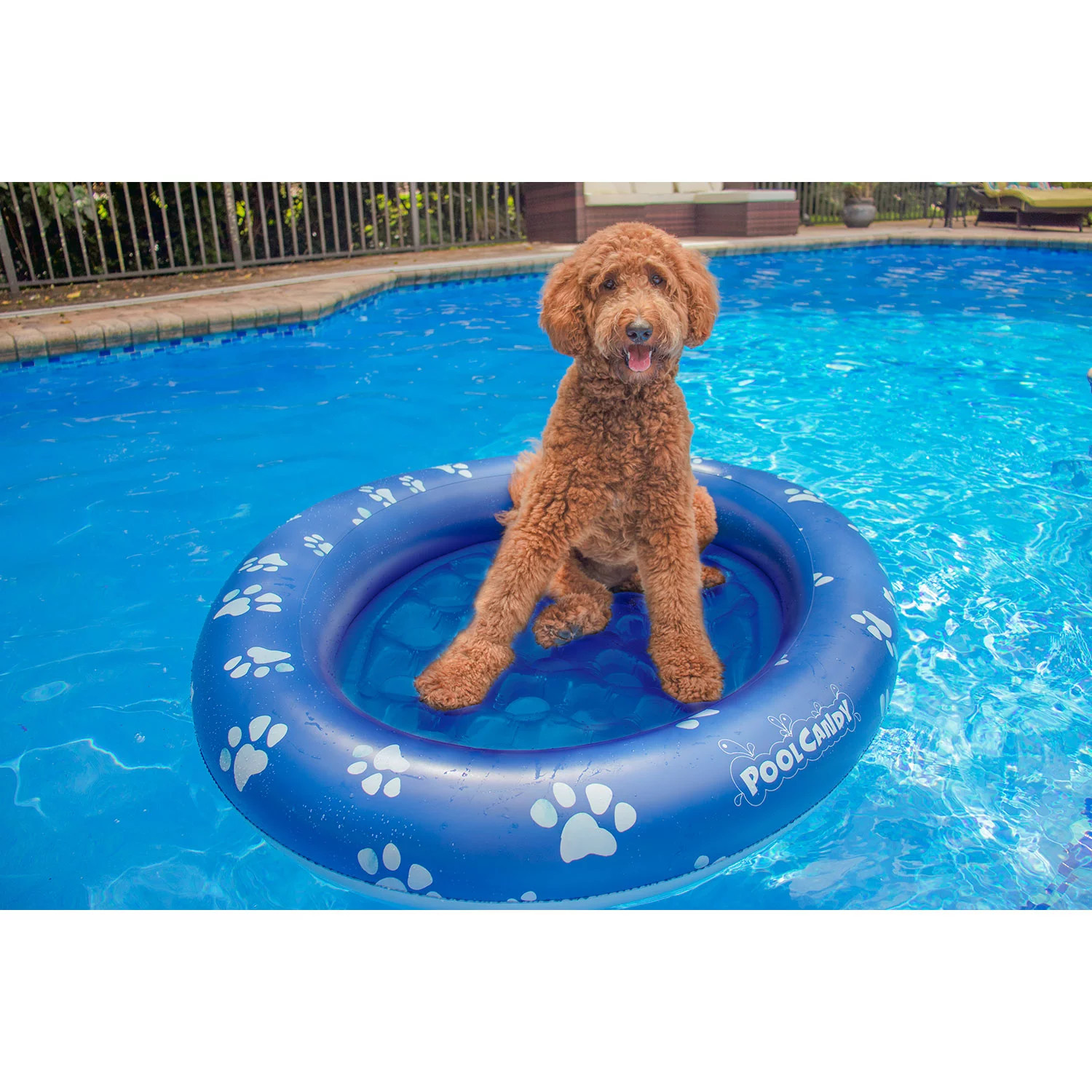 Sam's Club - Wholesale Prices on Top Brands | Sam's Club