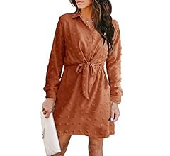 Alaster Women's Casual Shirt Dresses Long Sleeve Fall Mini Dress Swiss Dot Blouse Work Dresses fo... | Amazon (US)