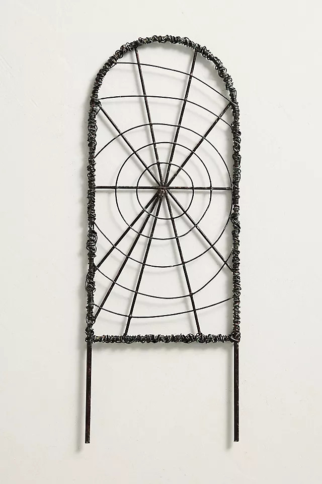 Iron Spiderweb Trellis | Anthropologie (US)