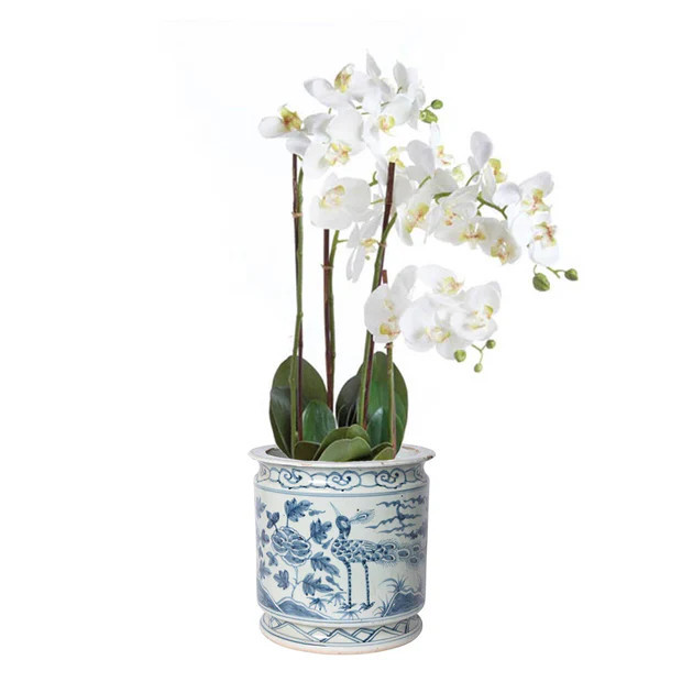 Faux Orchid in Porcelain Planter | Cailini Coastal