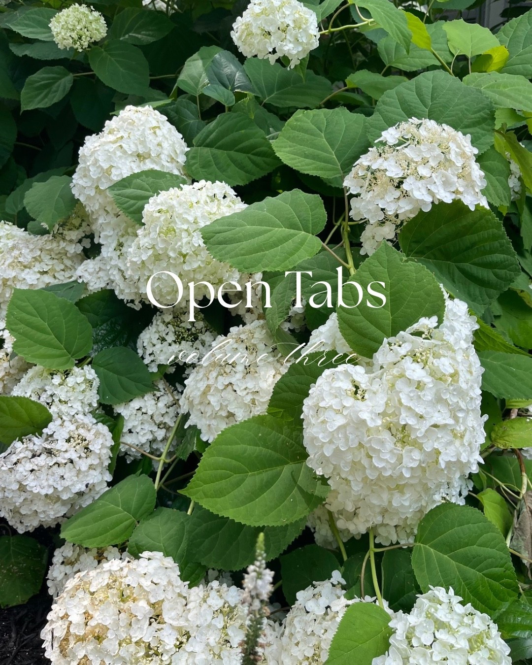 Current wishlist and items catching my eye  

#LTKSeasonal #LTKSummerEdit #LTKFindsUnder100