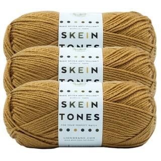 3 Pack Lion Brand® Basic Stitch Anti Pilling™ Skein Tones Yarn | Michaels Stores