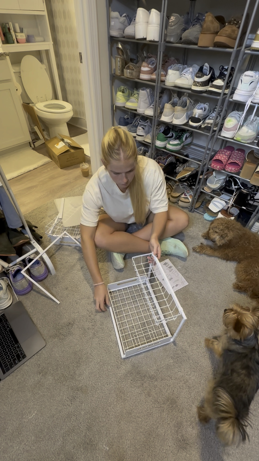 Much needed under the sink organizers & I loveee that they slide out for convenience!! Also linking some products on sale for Prime Day!

#LTKVideo #LTKxPrimeDay #LTKSaleAlert