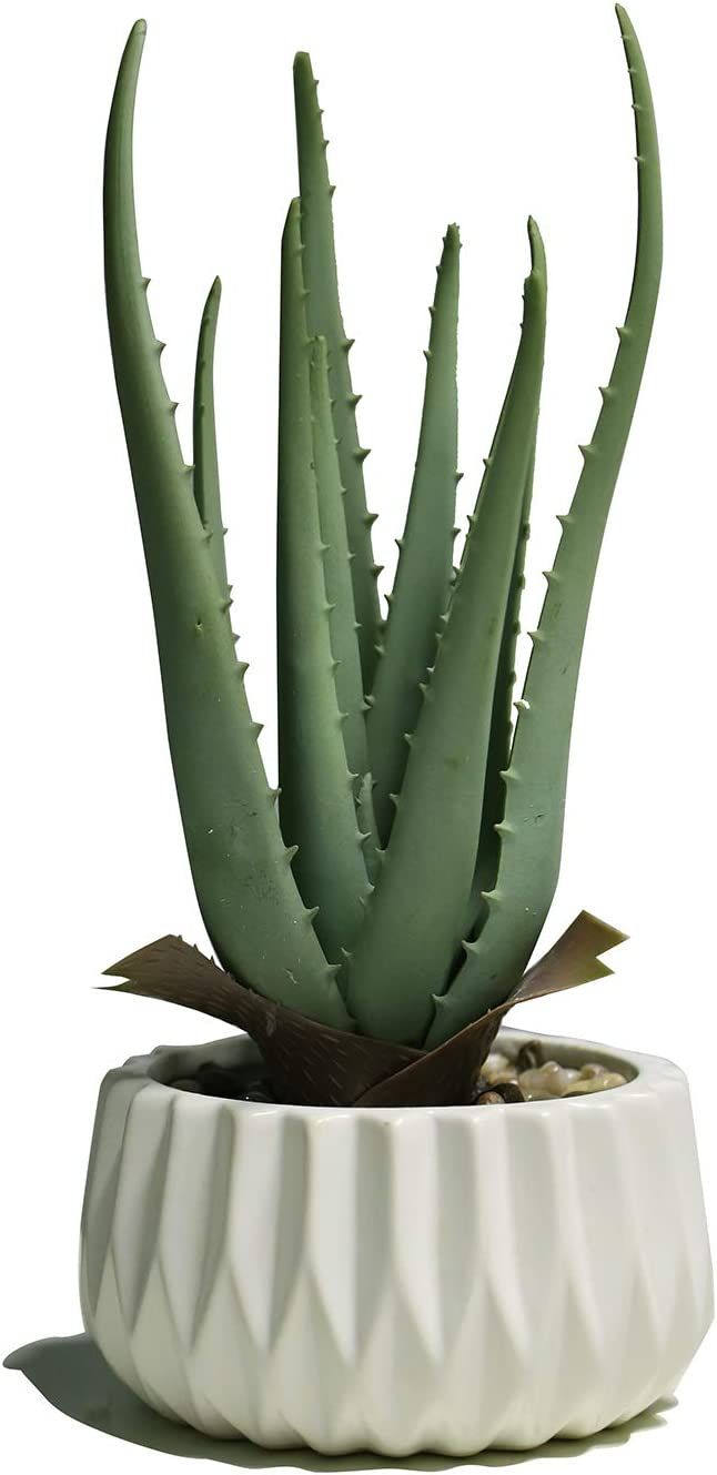 Suntimber Artificial Fake Plant Decor,Aloe Faux Plants in Elegant Ceramic Pot for Bathroom Shelf ... | Amazon (US)