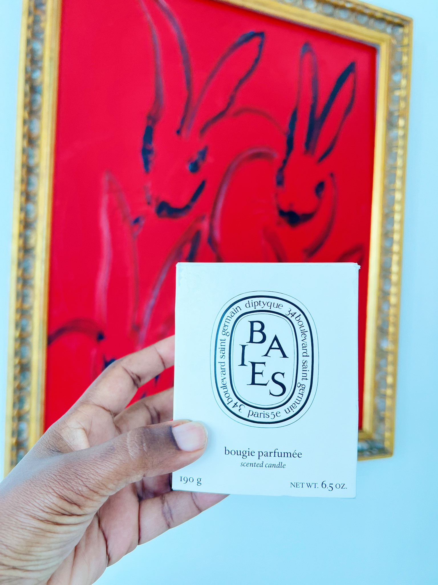 Baies (berries) is my all time favorite candle from Diptyque. It smells soooo good!

#LTKHome #LTKFindsUnder100