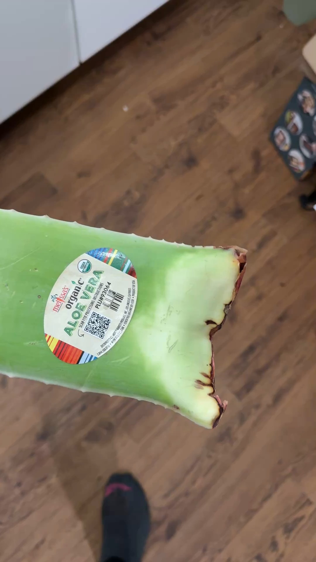 I’m revisiting my natural beauty regimens—starting with fresh aloe vera. I've seen so many people cut it different ways, I'll show you what I think is fast and easiest. All my tools are linked. For use on my hair and body! Self-care is the best care! Let me know if you ever used fresh aloe! 

#LTKdayinmylife #LTKselfcare #LTKBeauty