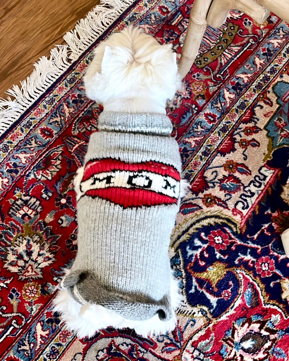 Morning walk. Dog sweater needed. Love this Mom tattoo sweater or anything a heart for some puppy love! 
Rounded up a bunch of heart sweaters to choose from..
The sweater on Wellie is shown so many times because each one is a separate listing by size.. 

#LTKGiftGuide #LTKSeasonal