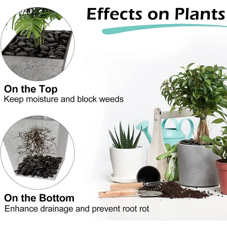 8 Pounds Black River Rocks, 1 to 2 Inch Decorative Polished Pebbles for Plants, Succulents, Lands... | Walmart (US)