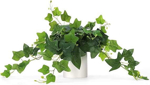 Faux Potted Plant - Fake Pothos Decorative Plants with White Ceramic Pot for Desk Shelf Bathroom ... | Amazon (US)