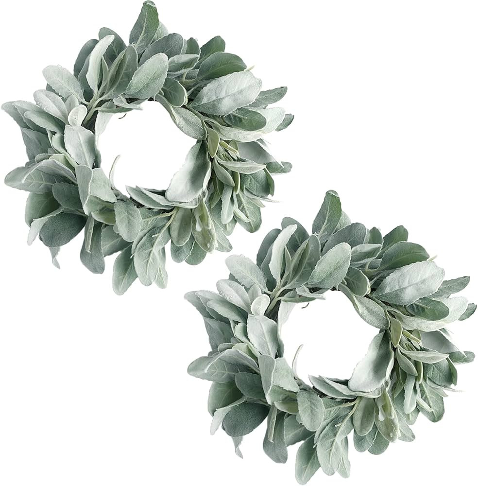 Acmee Set of 2 Lambs Ear Wreaths 10” Artificial Small Greenery Wreaths for Door Wall Window Cab... | Amazon (US)