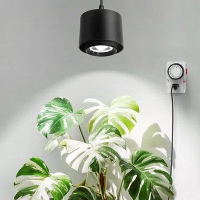 Barrina Tr40 Hanging Grow Lights For Indoor Plants, 40w 5000k Full Spectrum, Adjustable Beam Angle (15°-60°), High Ppfd, Spotlight Grow Light With Tim | Wayfair North America