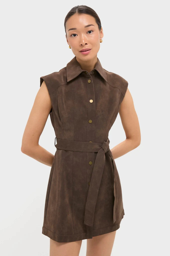 Brown Suede Miller Mini Dress | Tuckernuck (US)