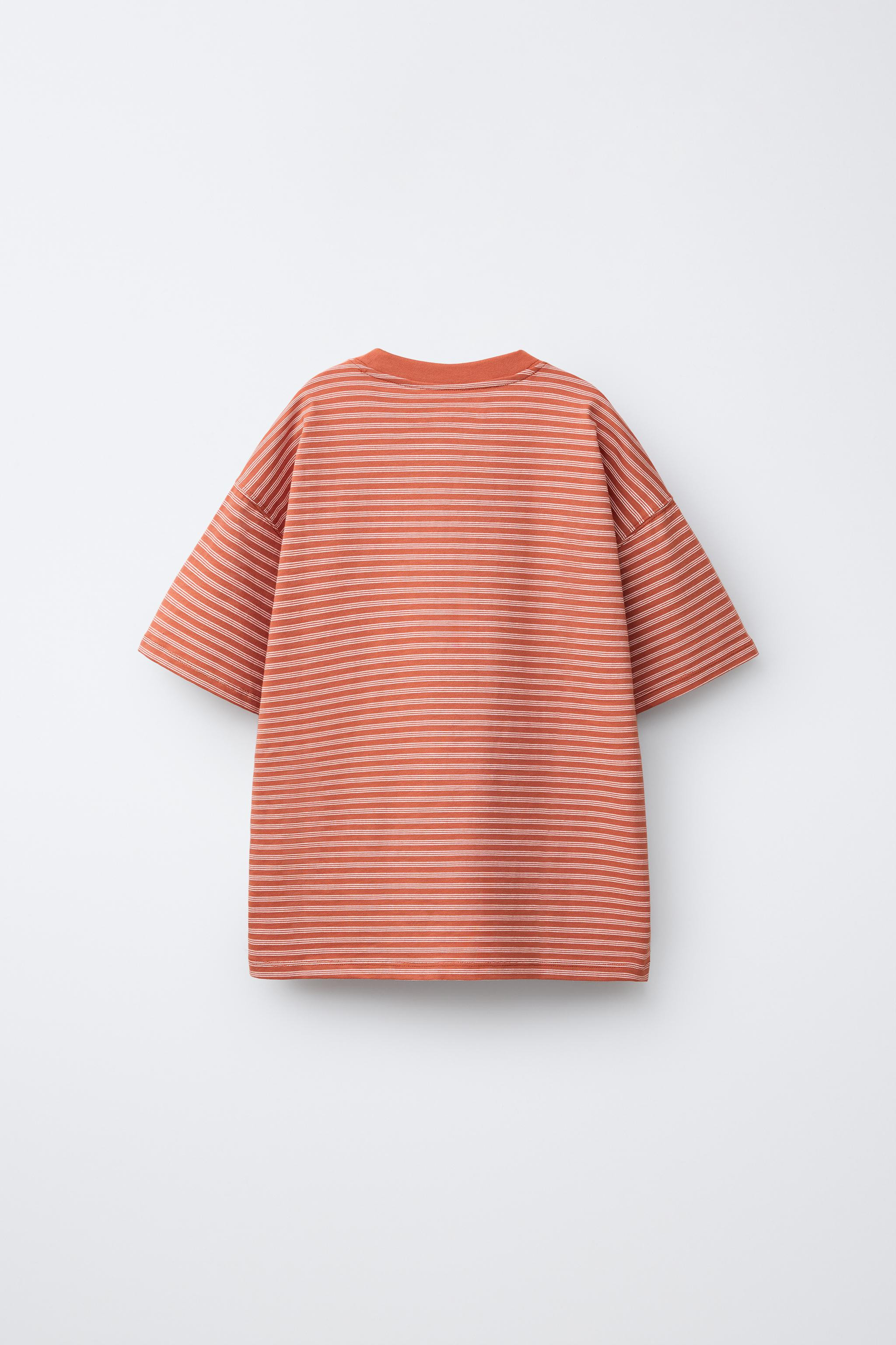 EMBROIDERED STRIPED T-SHIRT | Zara US
