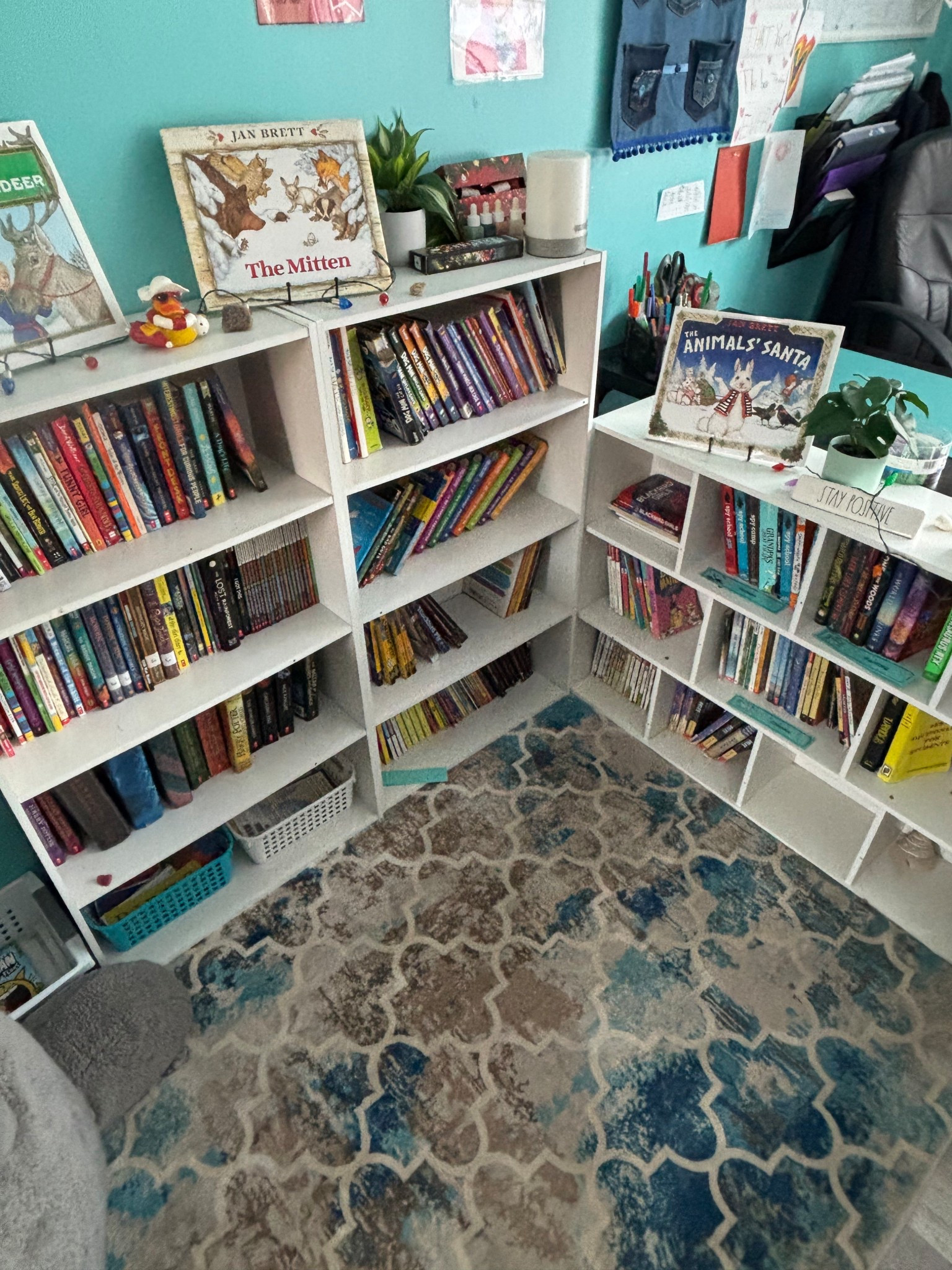 Classroom library 📖🫶🏻

#LTKKids