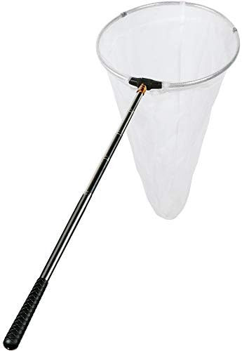 RESTCLOUD Insect and Butterfly Net with 12" Ring, 24" Net Depth, Handle Extends to 59 Inches for ... | Amazon (US)